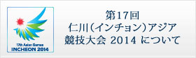 第17回仁川（インチョン）アジア競技大会2014
