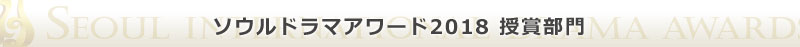 ソウルドラマアワード2018授賞部門